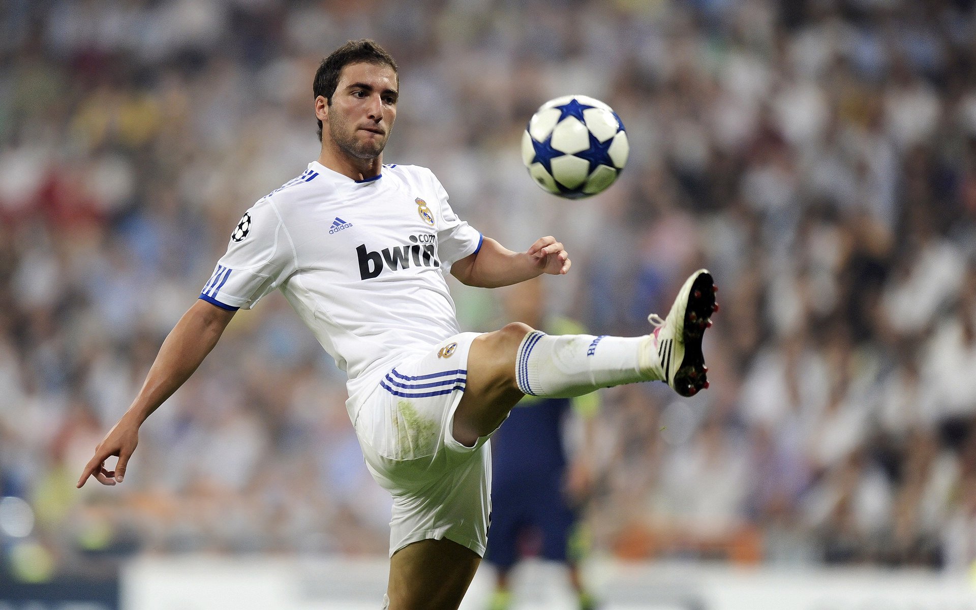 巴西足球青训体系持续优化，精彩年轻球员不断涌现